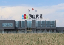 權(quán)威！陰山優(yōu)麥被認(rèn)證為“中國(guó)有機(jī)燕麥第 一品牌”